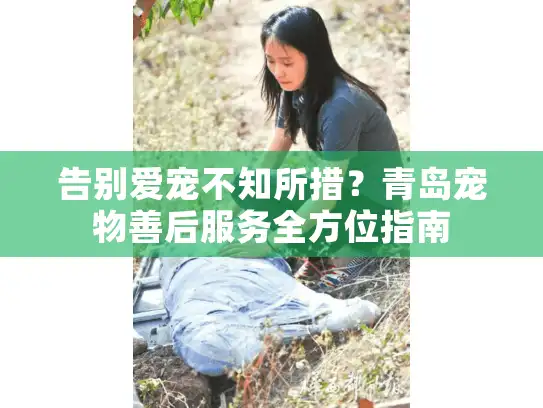 告别爱宠不知所措？青岛宠物善后服务全方位指南