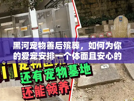 黑河宠物善后殡葬，如何为你的爱宠安排一个体面且安心的告别？