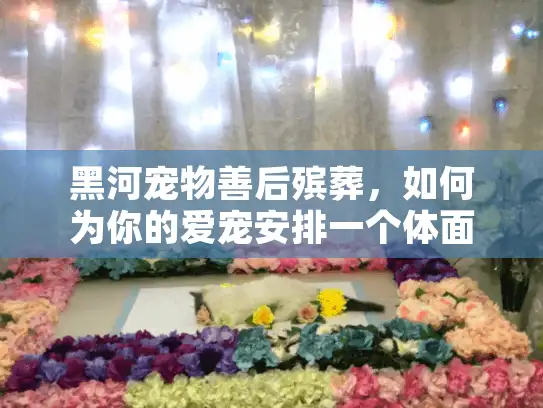 黑河宠物善后殡葬，如何为你的爱宠安排一个体面且安心的告别？