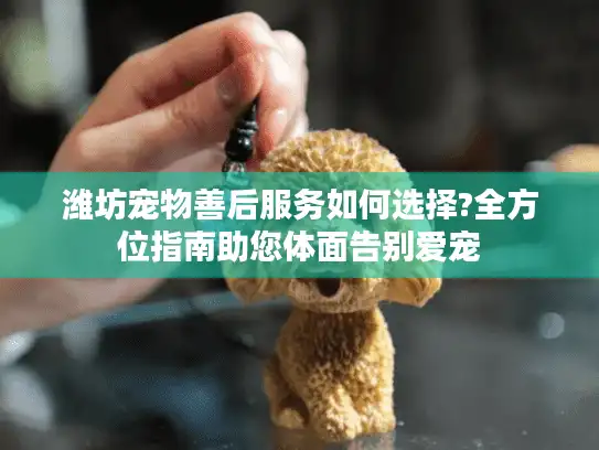 潍坊宠物善后服务如何选择?全方位指南助您体面告别爱宠