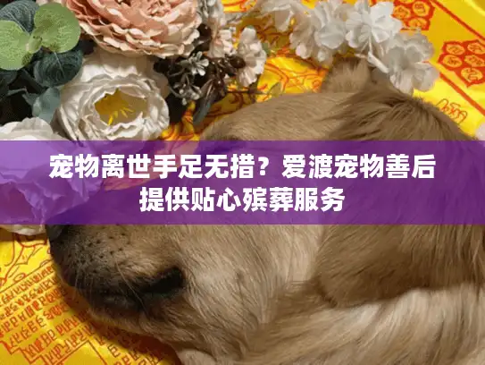 宠物离世手足无措？爱渡宠物善后提供贴心殡葬服务