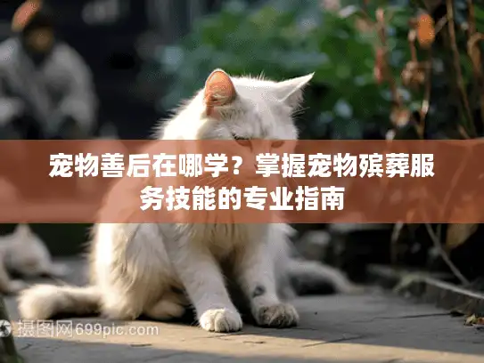 宠物善后在哪学？掌握宠物殡葬服务技能的专业指南