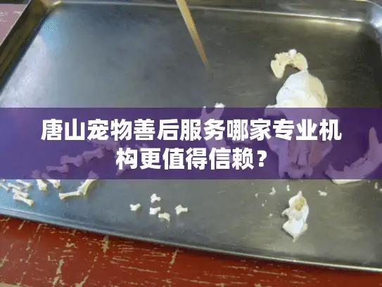 唐山宠物善后服务哪家专业机构更值得信赖？