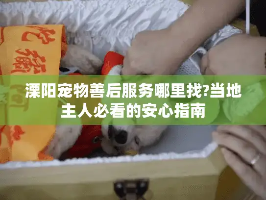 溧阳宠物善后服务哪里找?当地主人必看的安心指南