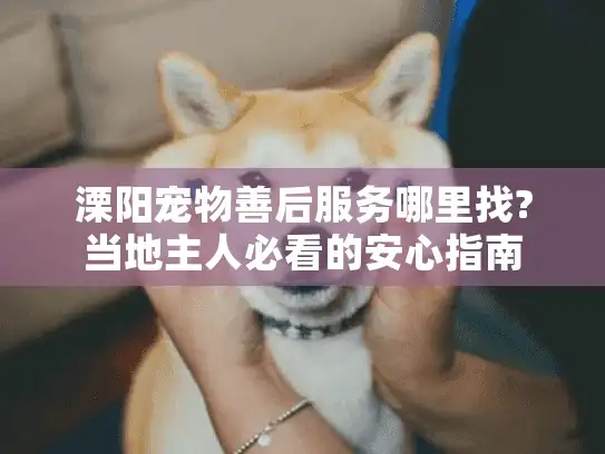 溧阳宠物善后服务哪里找?当地主人必看的安心指南