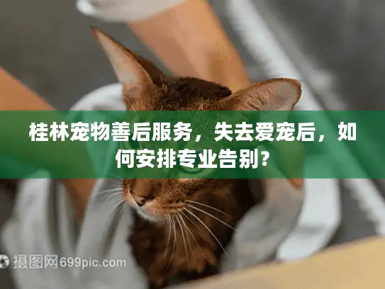 桂林宠物善后服务，失去爱宠后，如何安排专业告别？
