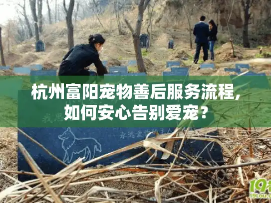 杭州富阳宠物善后服务流程,如何安心告别爱宠？