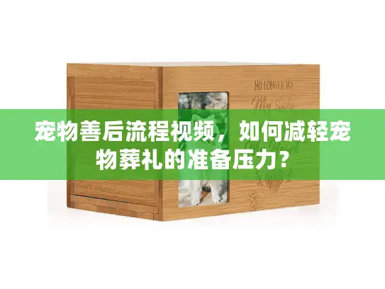宠物善后流程视频，如何减轻宠物葬礼的准备压力？
