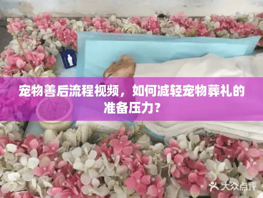 宠物善后流程视频，如何减轻宠物葬礼的准备压力？