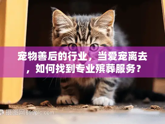 宠物善后的行业，当爱宠离去，如何找到专业殡葬服务？