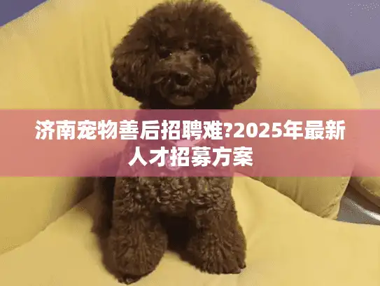 济南宠物善后招聘难?2025年最新人才招募方案