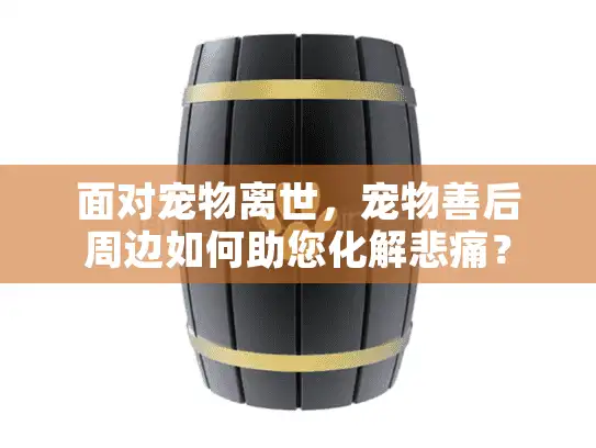 面对宠物离世，宠物善后周边如何助您化解悲痛？