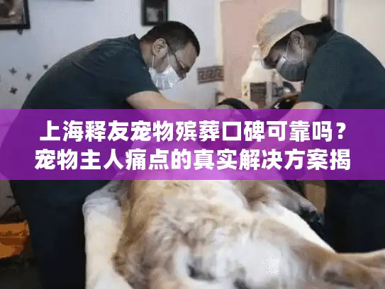 上海释友宠物殡葬口碑可靠吗？宠物主人痛点的真实解决方案揭秘