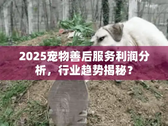 2025宠物善后服务利润分析，行业趋势揭秘？