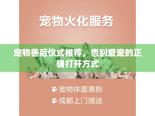 宠物善后仪式推荐，告别爱宠的正确打开方式