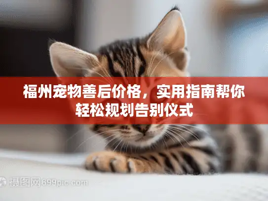 福州宠物善后价格，实用指南帮你轻松规划告别仪式