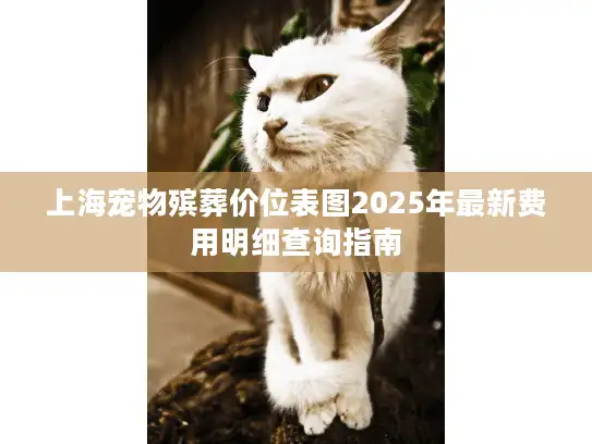 上海宠物殡葬价位表图2025年最新费用明细查询指南