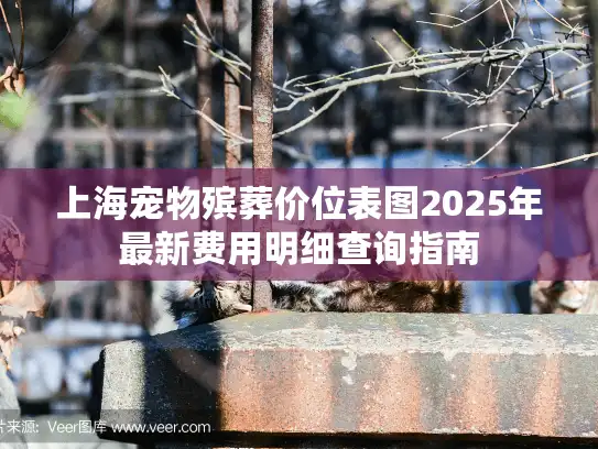 上海宠物殡葬价位表图2025年最新费用明细查询指南