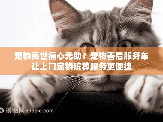宠物离世痛心无助？宠物善后服务车让上门宠物殡葬服务更便捷