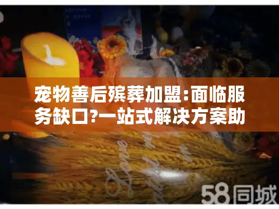 宠物善后殡葬加盟:面临服务缺口?一站式解决方案助你破局