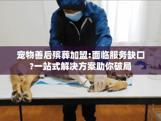宠物善后殡葬加盟:面临服务缺口?一站式解决方案助你破局