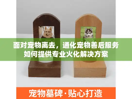 面对宠物离去，通化宠物善后服务如何提供专业火化解决方案