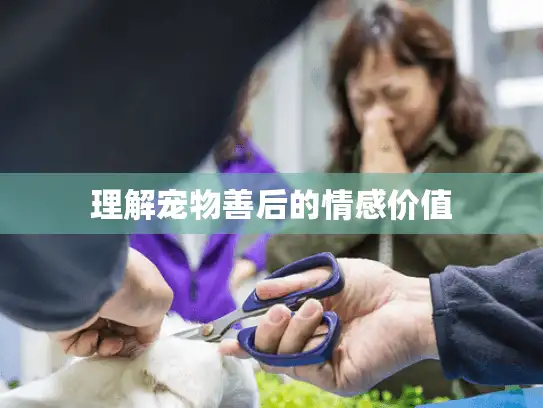 理解宠物善后的情感价值