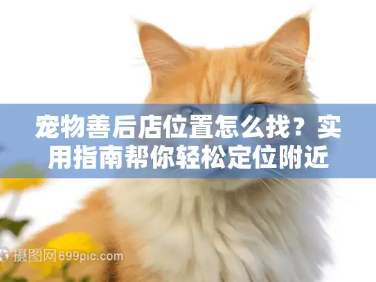 宠物善后店位置怎么找？实用指南帮你轻松定位附近服务