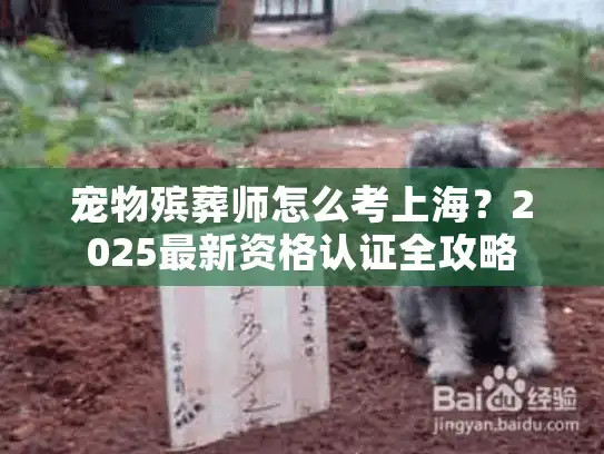 宠物殡葬师怎么考上海？2025最新资格认证全攻略