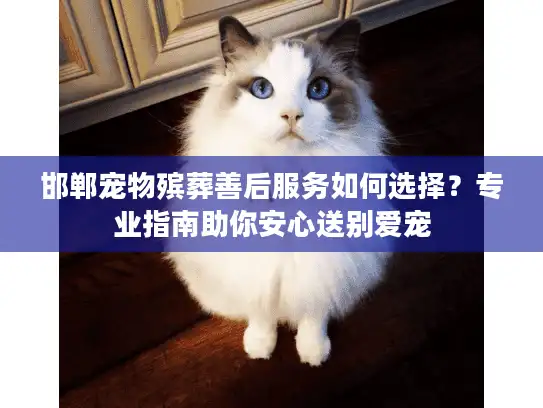 邯郸宠物殡葬善后服务如何选择？专业指南助你安心送别爱宠