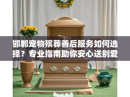 邯郸宠物殡葬善后服务如何选择？专业指南助你安心送别爱宠