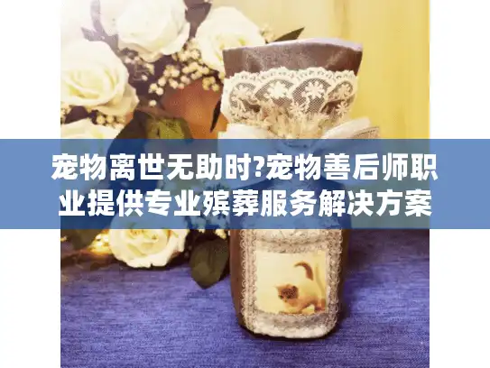 宠物离世无助时?宠物善后师职业提供专业殡葬服务解决方案