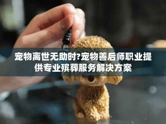 宠物离世无助时?宠物善后师职业提供专业殡葬服务解决方案