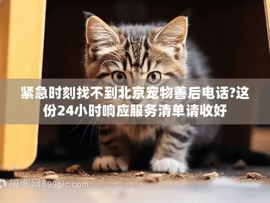 紧急时刻找不到北京宠物善后电话?这份24小时响应服务清单请收好