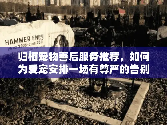 归栖宠物善后服务推荐，如何为爱宠安排一场有尊严的告别