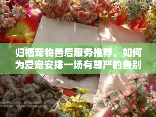 归栖宠物善后服务推荐，如何为爱宠安排一场有尊严的告别