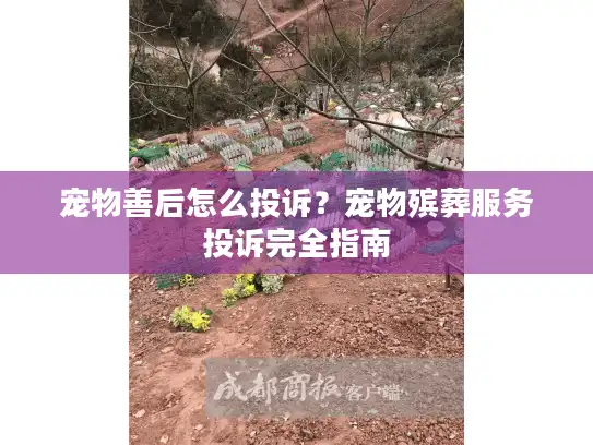 宠物善后怎么投诉？宠物殡葬服务投诉完全指南