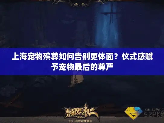 上海宠物殡葬如何告别更体面？仪式感赋予宠物最后的尊严