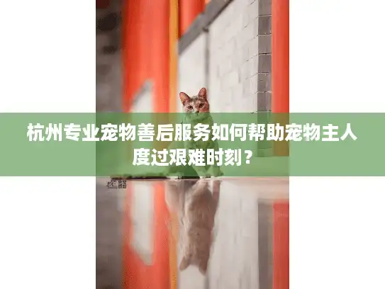 杭州专业宠物善后服务如何帮助宠物主人度过艰难时刻？