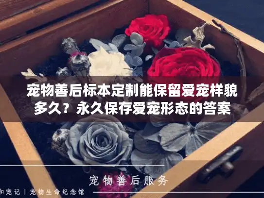 宠物善后标本定制能保留爱宠样貌多久？永久保存爱宠形态的答案