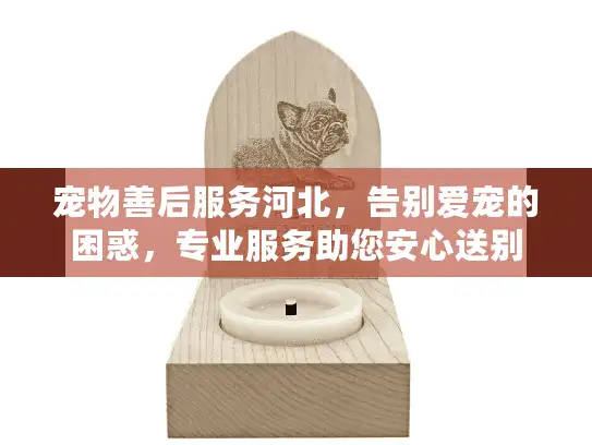 宠物善后服务河北，告别爱宠的困惑，专业服务助您安心送别