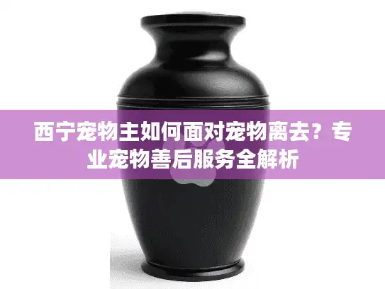西宁宠物主如何面对宠物离去？专业宠物善后服务全解析
