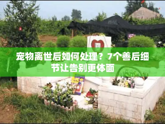 宠物离世后如何处理？7个善后细节让告别更体面