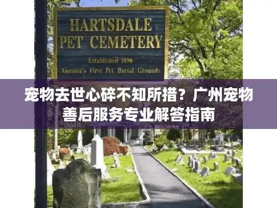 宠物去世心碎不知所措？广州宠物善后服务专业解答指南