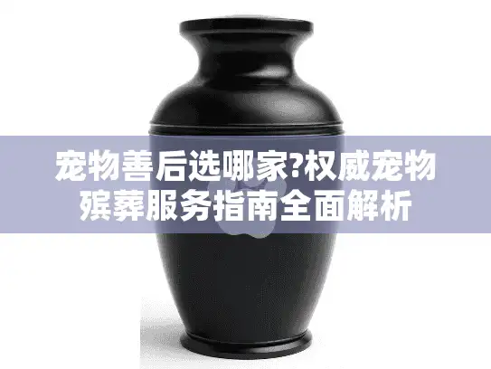 宠物善后选哪家?权威宠物殡葬服务指南全面解析
