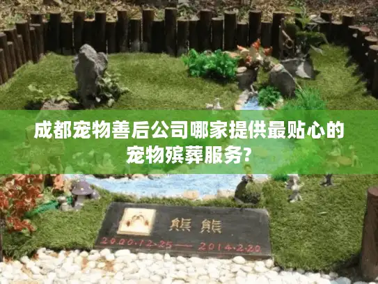 成都宠物善后公司哪家提供最贴心的宠物殡葬服务?