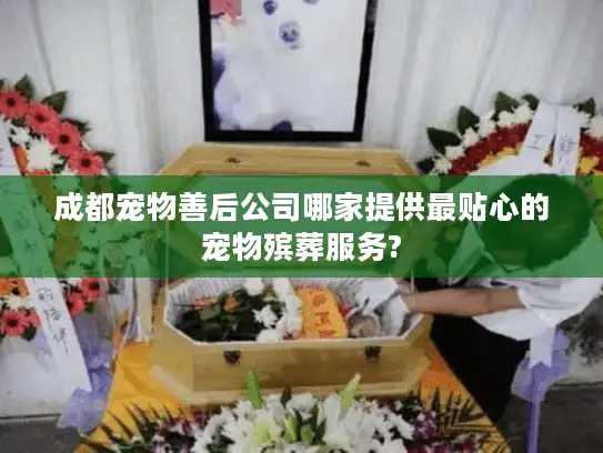 成都宠物善后公司哪家提供最贴心的宠物殡葬服务?