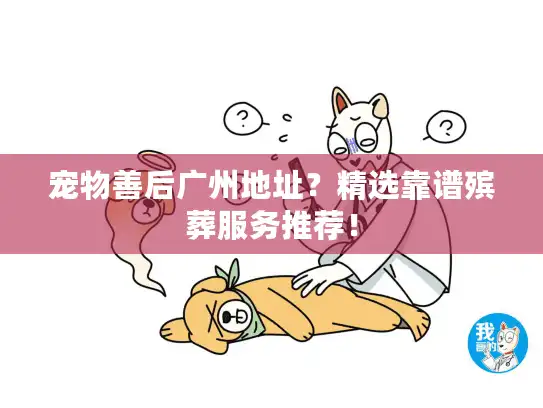 宠物善后广州地址？精选靠谱殡葬服务推荐！