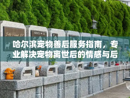 哈尔滨宠物善后服务指南，专业解决宠物离世后的情感与后续问题