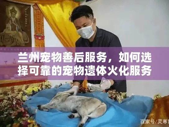 兰州宠物善后服务，如何选择可靠的宠物遗体火化服务？